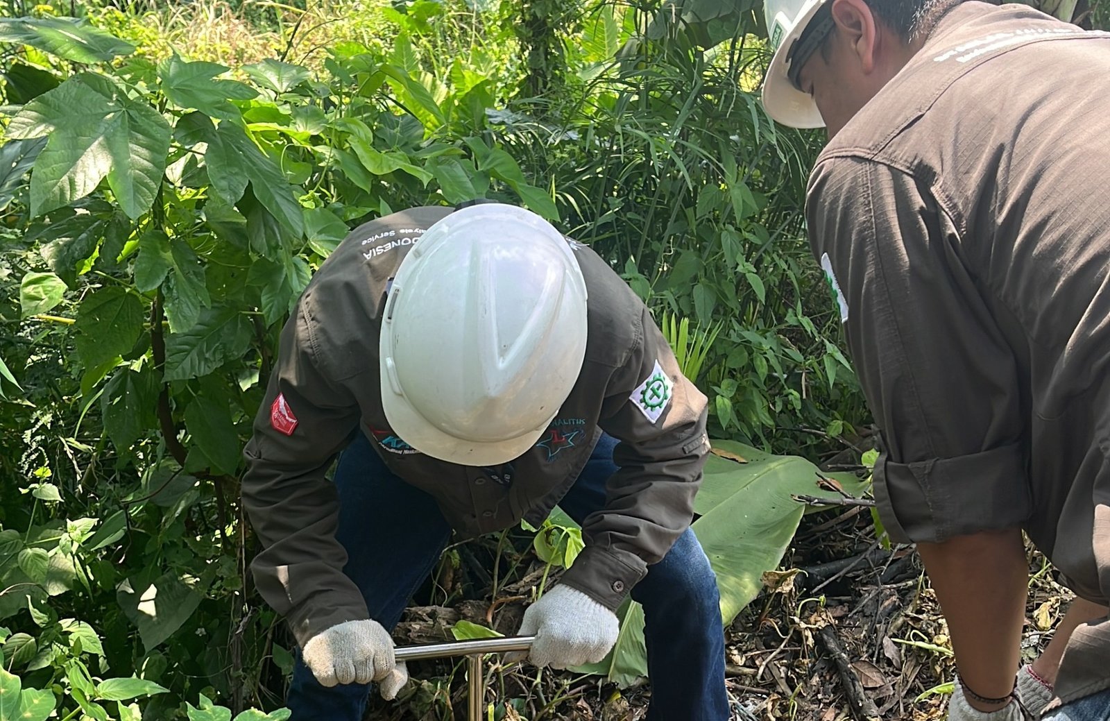 Home landscape 2448x1590