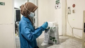 resized new 2560x1440