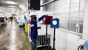 img 20250610 140854 (1)